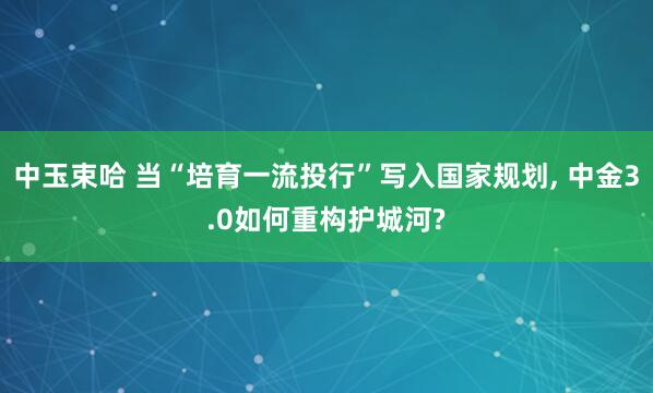 中玉束哈 当“培育一流投行”写入国家规划, 中金3.0如何重构护城河?