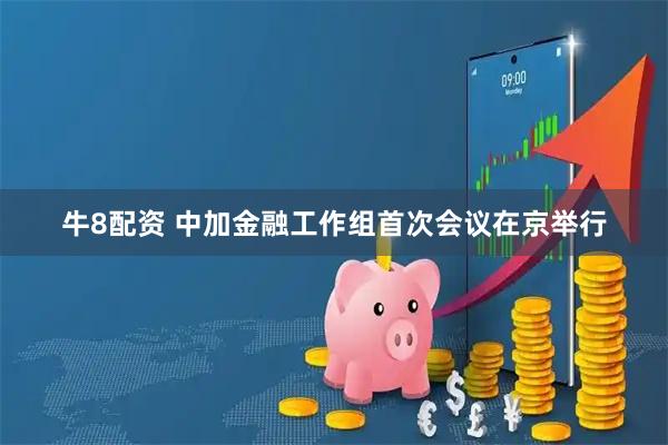 牛8配资 中加金融工作组首次会议在京举行